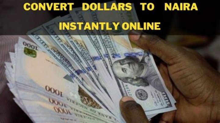 Naira to Dollar How To Convert Naira to USD With Exchange Rate Today
