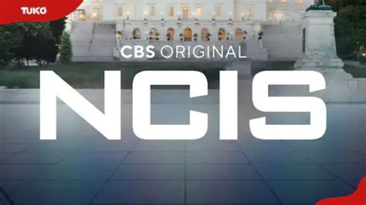 NCIS cast salary and net worth 2024 Who is the richest? Tuko.co.ke