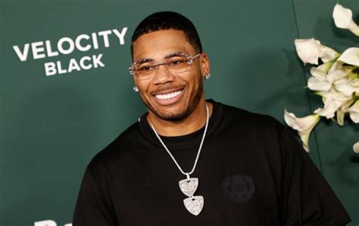 Nelly 2024 Net Worth Perry Brigitta