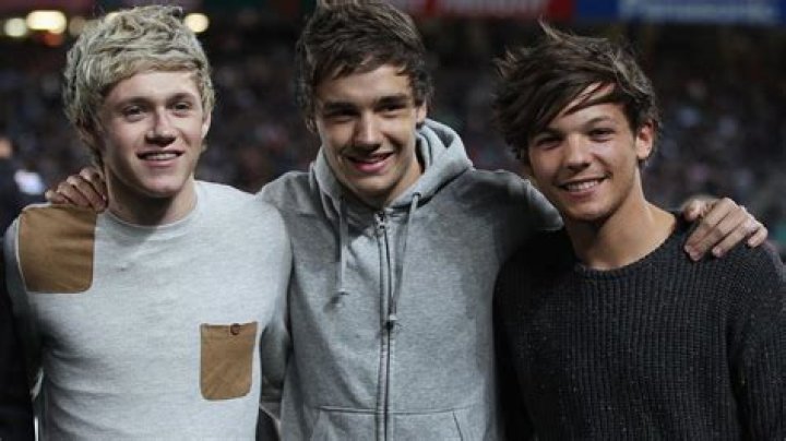 Niall, harry styles, horan, liam payne, louis tomlinson, niall horan
