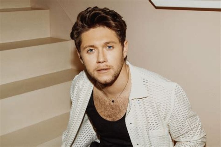 Niall Horan's Hollywood Hills Home POPSUGAR Home Photo 5