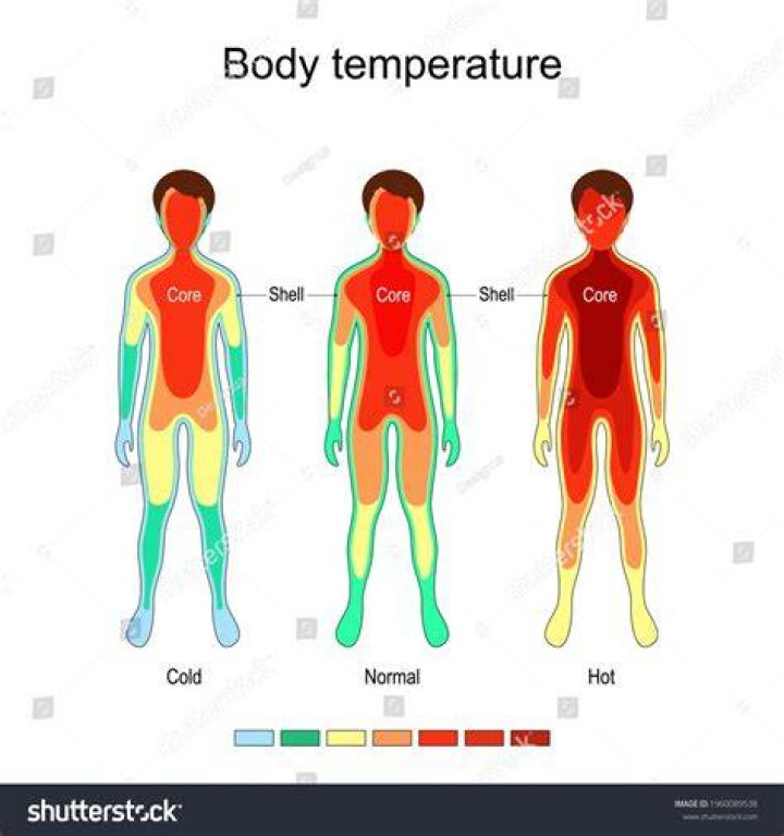 Normal Body Temperature Diagram