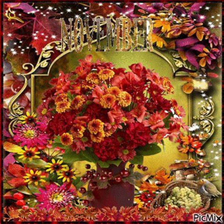 November Pictures, Photos, and Images for Facebook, Tumblr, Pinterest, and Twitter