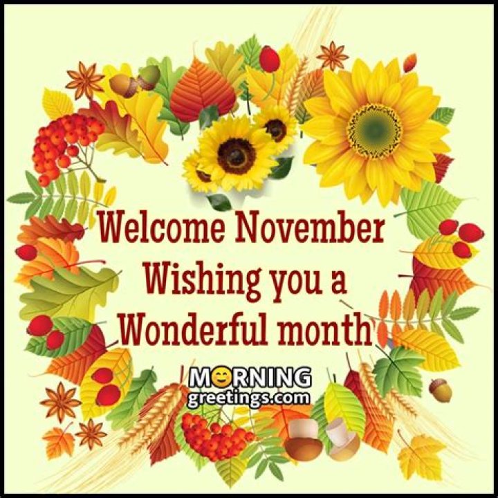 November Wishing You A Wonderful Month