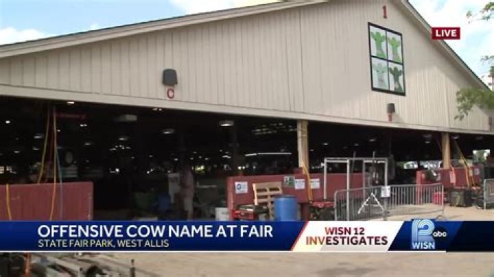 Offensive cow name at Wisconsin State Fair YouTube