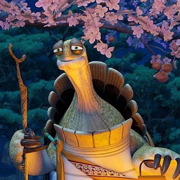 Oogway (Kung Fu Panda) VS Battles Wiki Fandom powered by Wikia