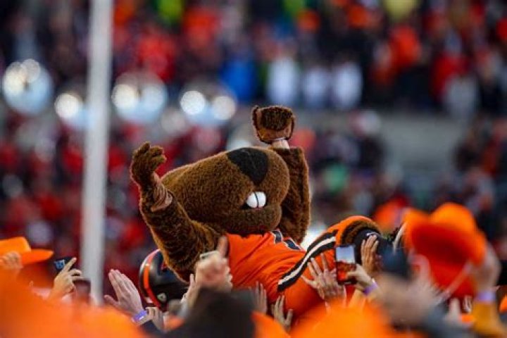 Oregon State vs UC Davis Prediction and Tips 1 December 2023