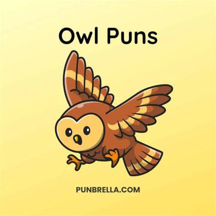 owl puns &mdash; Weasyl