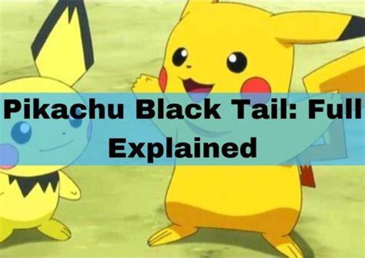 Pikachu Black Tail Full Explained Good Things2