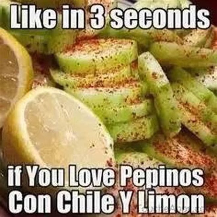 Pin by Janell on Cinco de Mayo Memes, Unpopular opinion puffin, The funny