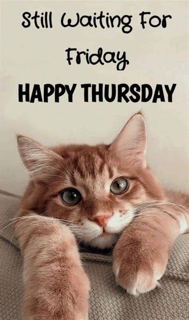 Pin on Days of the week humor
