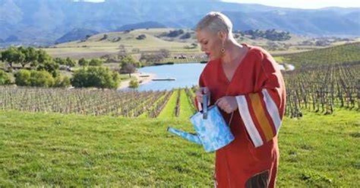 Pink Lives on a Sprawling 200Acre Ranch With a Literal Vineyard See