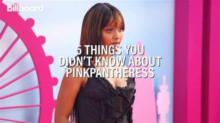 Pinkpantheress Arrested, What Did Pinkpantheress Do? Why Was
