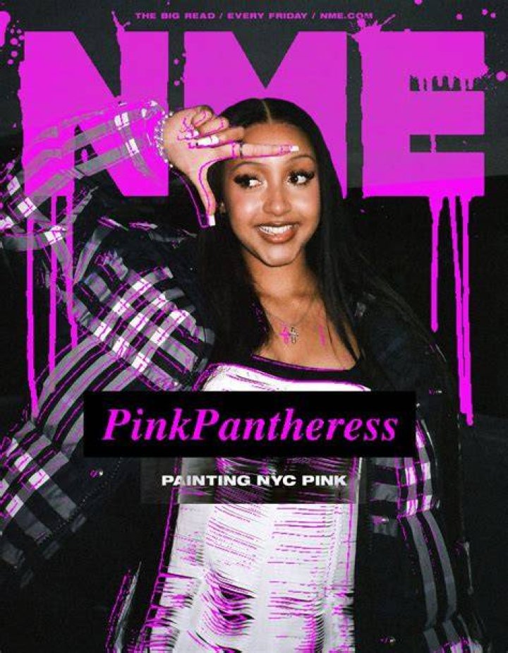 PinkPantheress The 'breakout' singer who's happy to be a mystery BBC