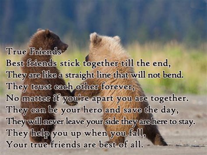 Poems About Friendship With Images By Famous Authors Poetry Likers