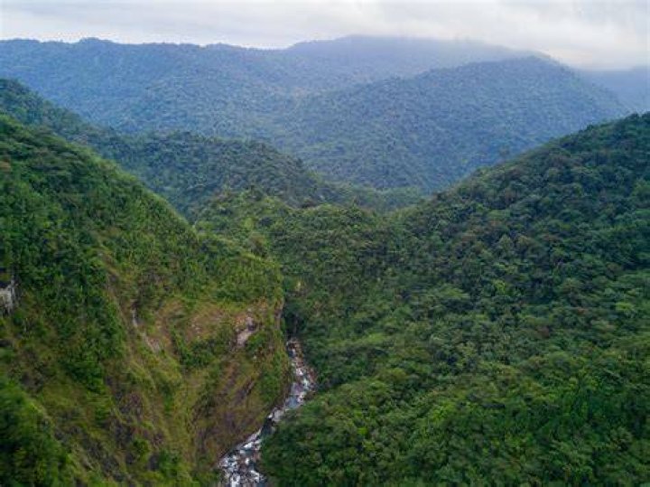 Potentially The Most Important National Park In Costa Rica Barbilla