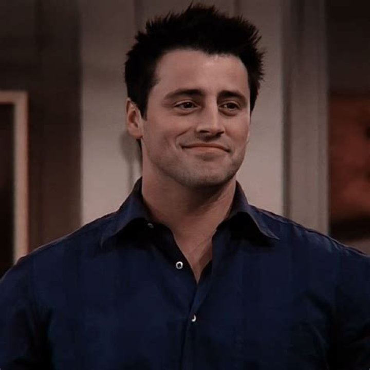 Pourquoi Joey s'est totalement plant&eacute;, apr&egrave;s Friends ! Premiere.fr