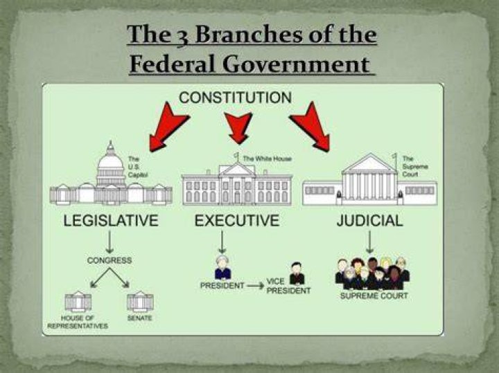PPT The 3 Branches of the Federal Government PowerPoint Presentation