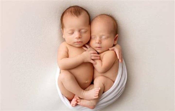 Pregnant Twins Hot Sex Picture