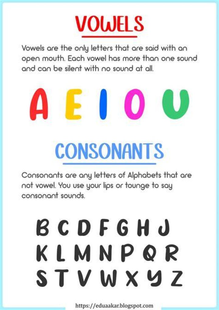 Printable Vowel and Consonants Consonant vowel consonant, Teaching