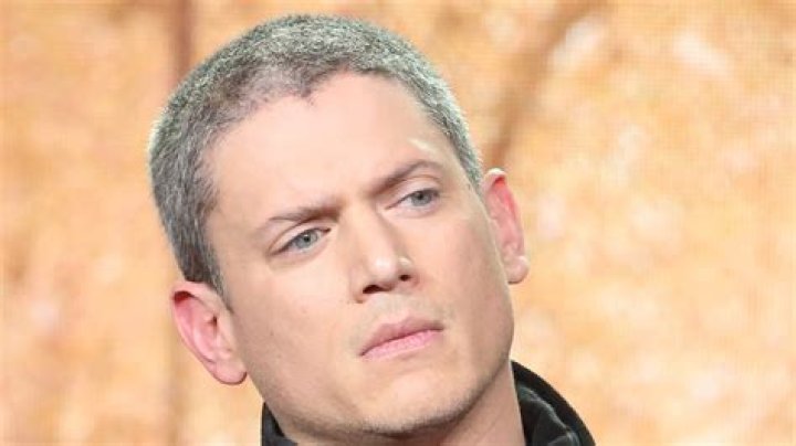 Prison Break Star Wentworth Miller and His Family BHW