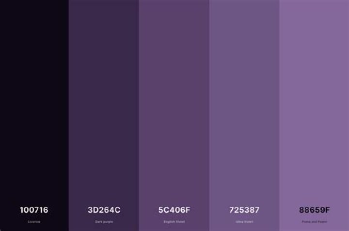Purple Color Scheme