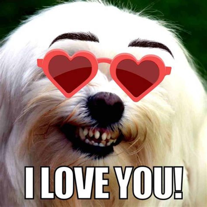 √ You Are Loved Meme