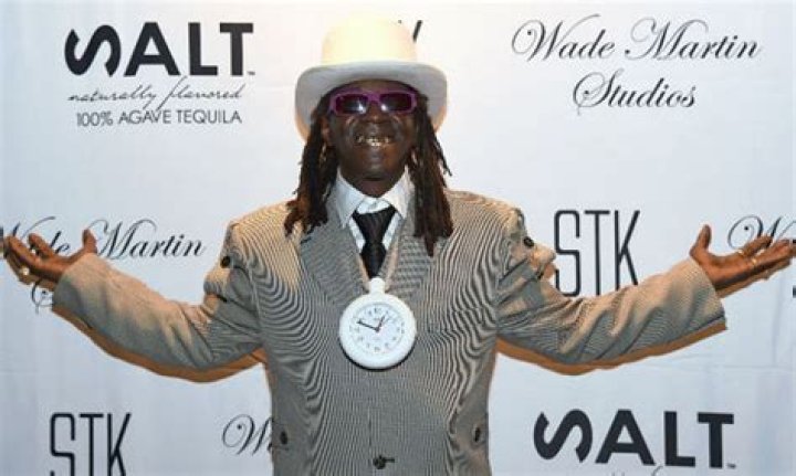 Rapper Flava Flav was fined for speeding while driving to his mother's