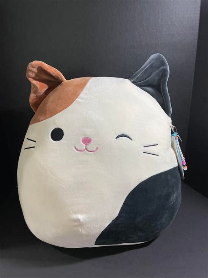 Rarest squishmallow? r/squishmallow