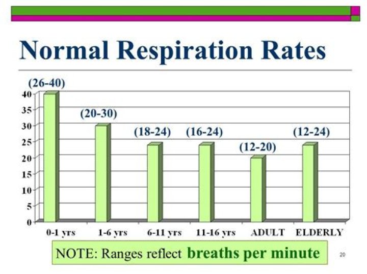 Respiratory Rate Chart By Age Ponasa