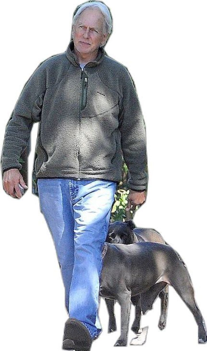 Retired Mark Harmon walks his dog in first sighting since leaving NCIS