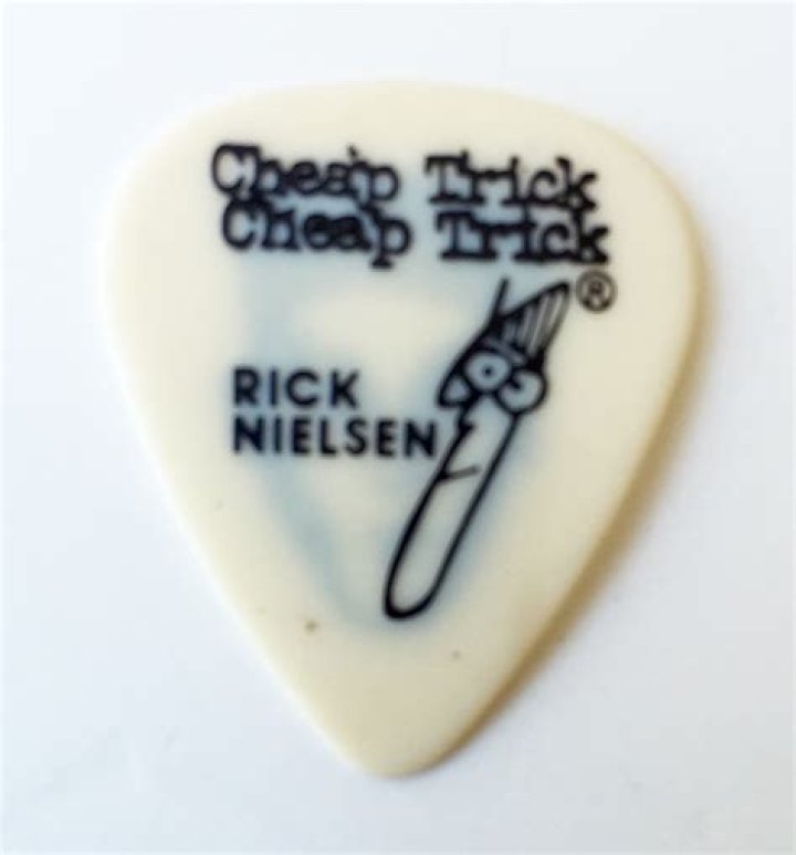 Rick Nielsen to Miss Cheap Trick Shows After Minor Procedure DRGNews