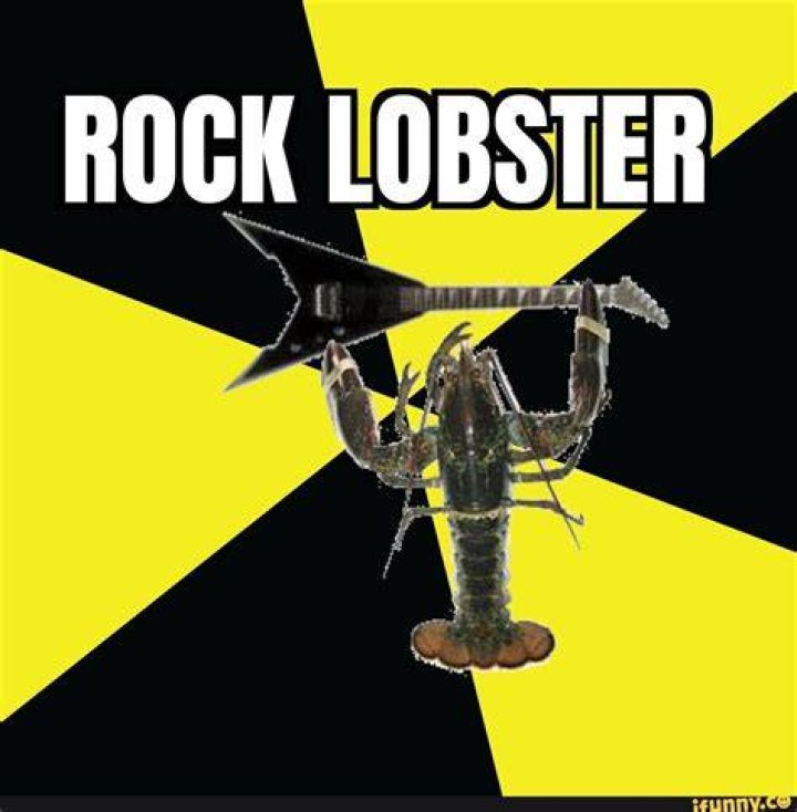 ROCK LOBSTER iFunny