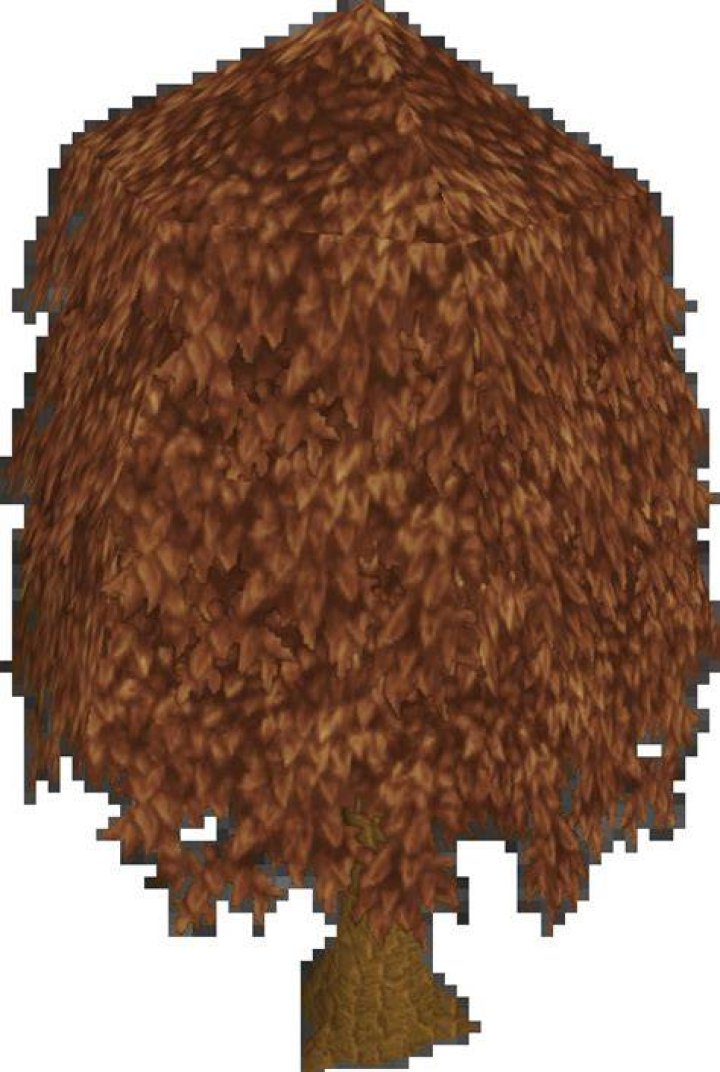 Runescape Willow Tree Locations How Many Queens Are In A Deck Of Cards