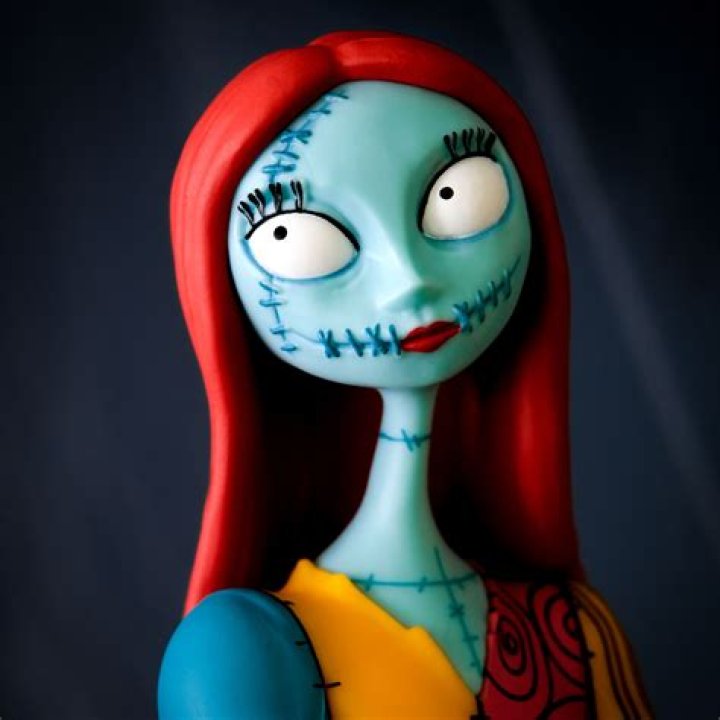 Sally The Nightmare Before Christmas lupon.gov.ph