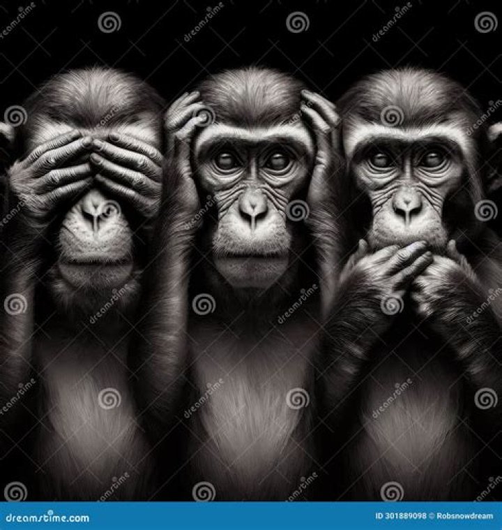 See hear speak no evil cartoon Royalty Free Vector Image