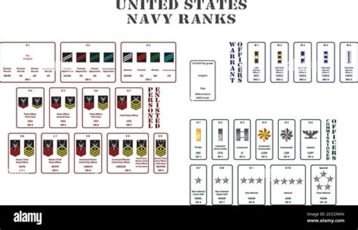 set of the ranks of the united states army Stock Vector Image & Art Alamy