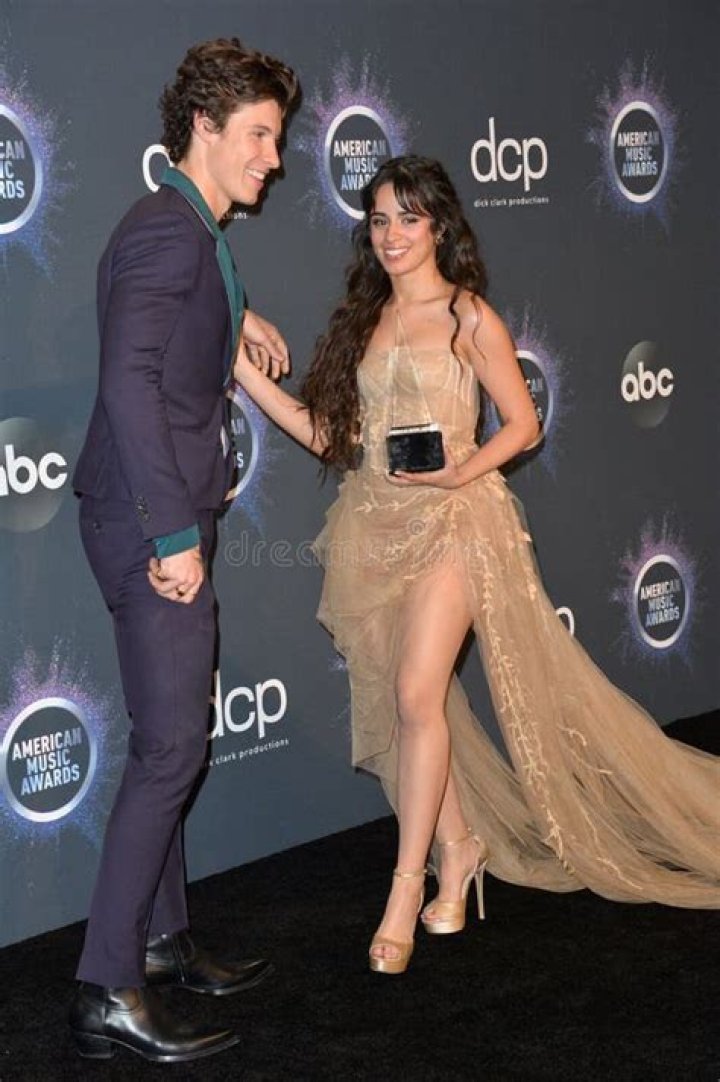 Shawn Mendes & Camila Cabello's 2Year Anniversary Posts Are Romantic