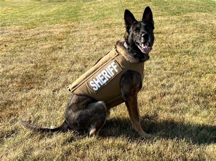 Sheriff New Lenox Man Ripped Off Local Business New Lenox, IL Patch