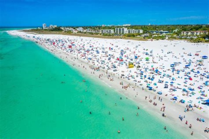 Siesta Key's Madisson Hausburg Is Pregnant, Expecting With Ish Soto