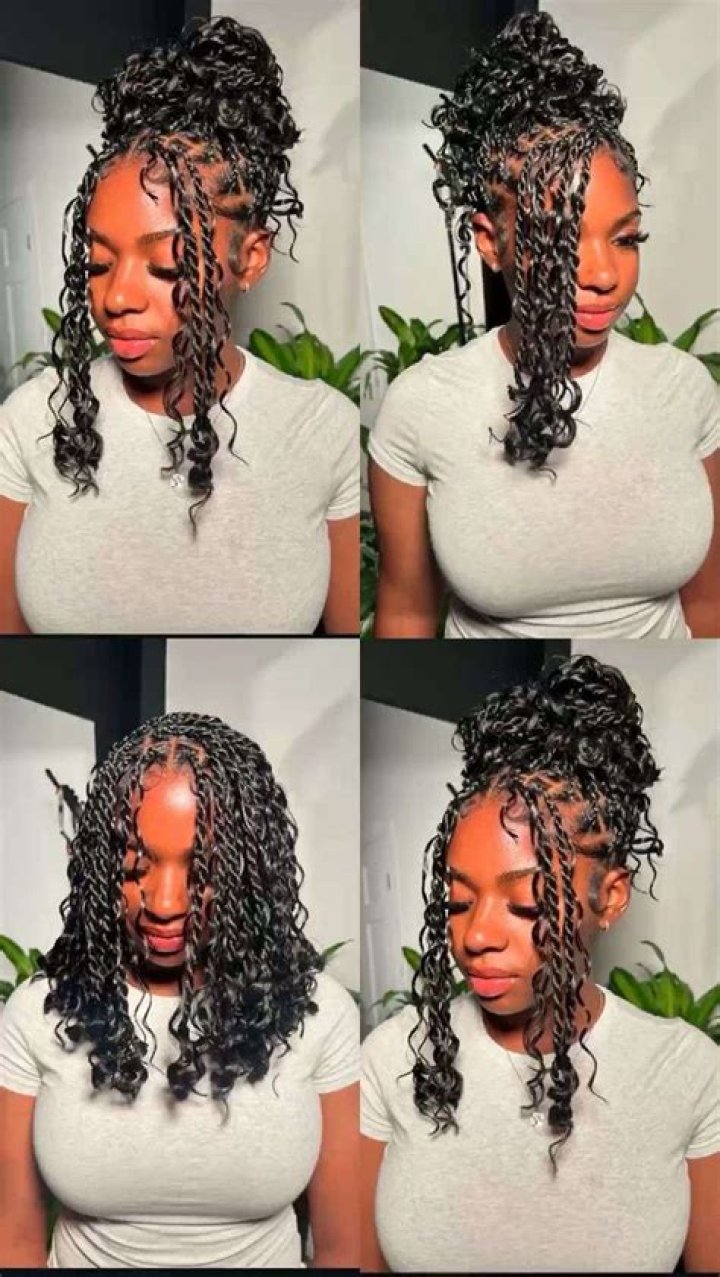 Simple Brandy Hairstyles Braids Soft Short Black Easy For Thick Curly Hair