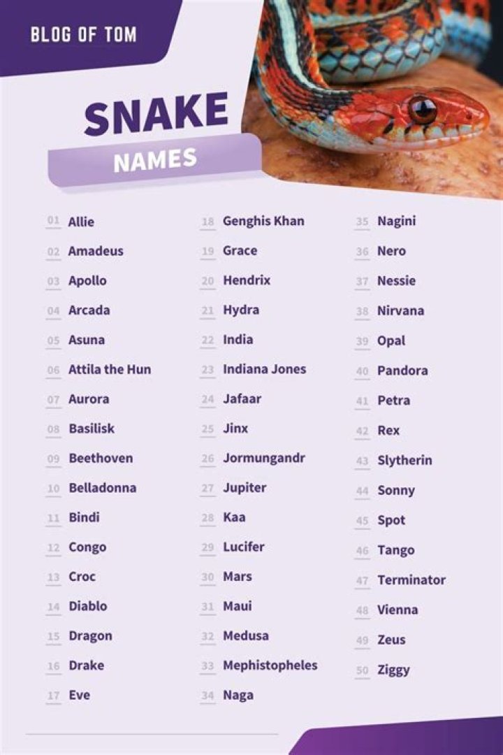 Snake names 400 names for your slithering sidekick Artofit