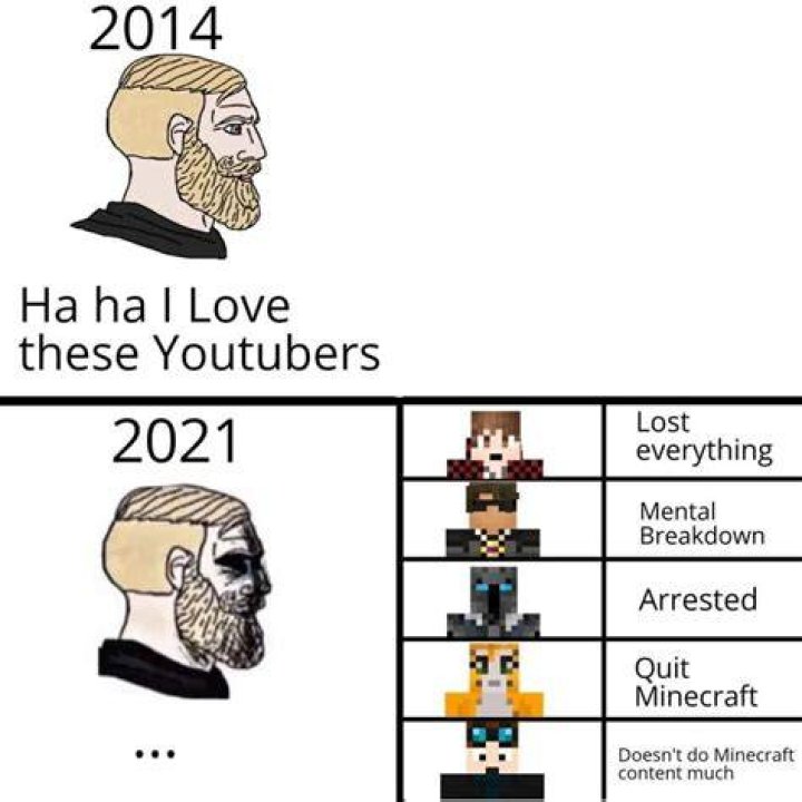 Stampy Quitting? Fandom