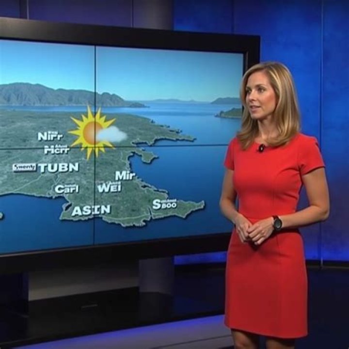 Stephanie Abrams, Photo Galleries, Weather, V Neck, Tops, Women