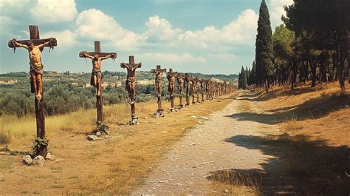 STORIES Student CRUCIFIES a rat on a wooden cross before burning it