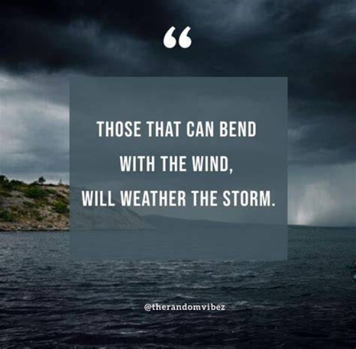 Storm quotes Storm quotes, Weather quotes, Thunderstorm quotes