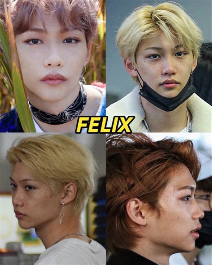 Stray Kids Lee Felix Siblings Meet Olivia And Jisue Lee
