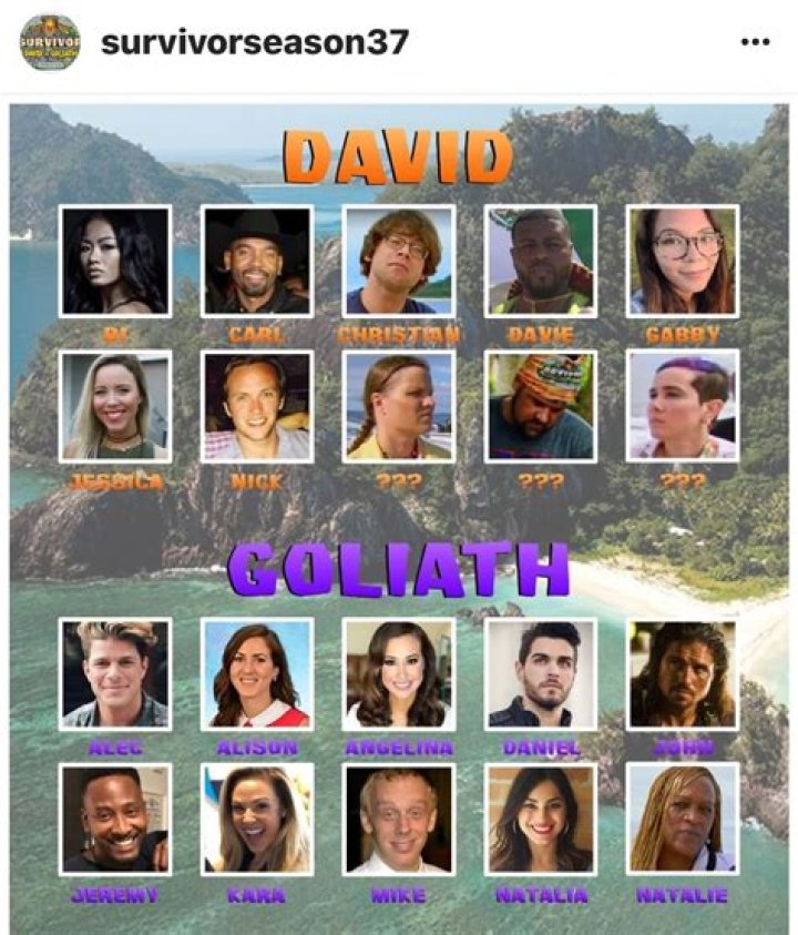 Survivor David vs. Goliath cast Natalie Cole is a commanding force