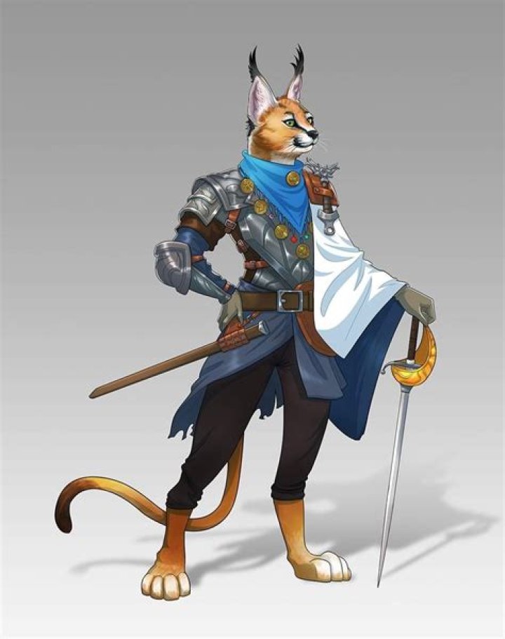 Tabaxi D&D Character Dump Dungeons and dragons characters, Dnd