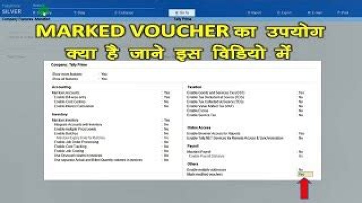 Tally Prime Using of Marked Voucher in Tally Prime YouTube